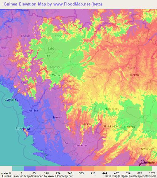 Guinea Elevation Map