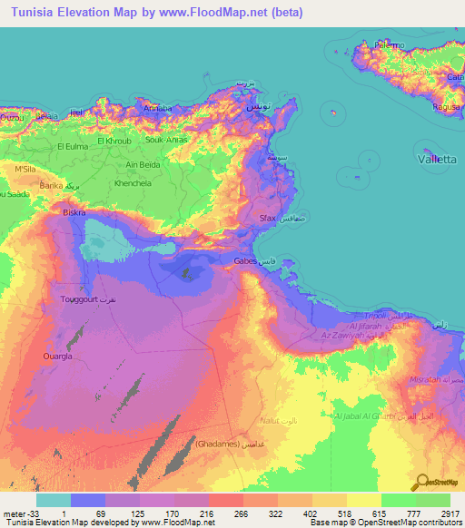 Tunisia Elevation Map