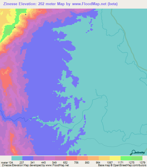 Zinesse,Mozambique Elevation Map