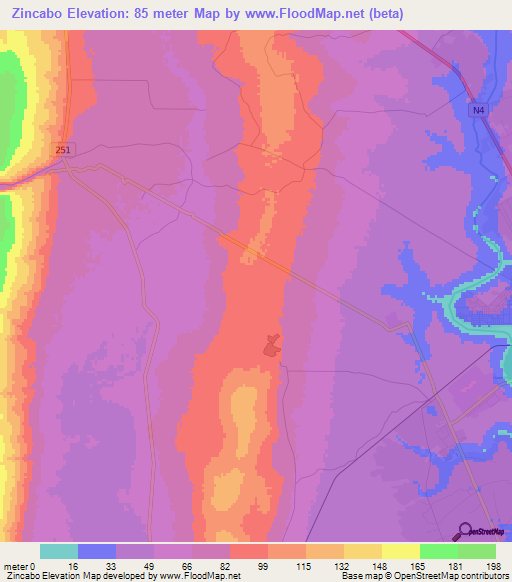 Zincabo,Mozambique Elevation Map