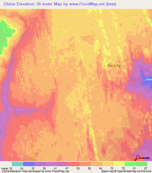 Zibine,Mozambique Elevation Map