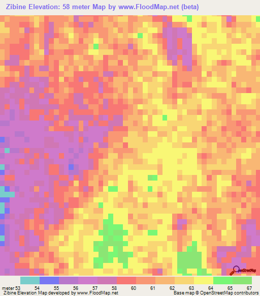 Zibine,Mozambique Elevation Map