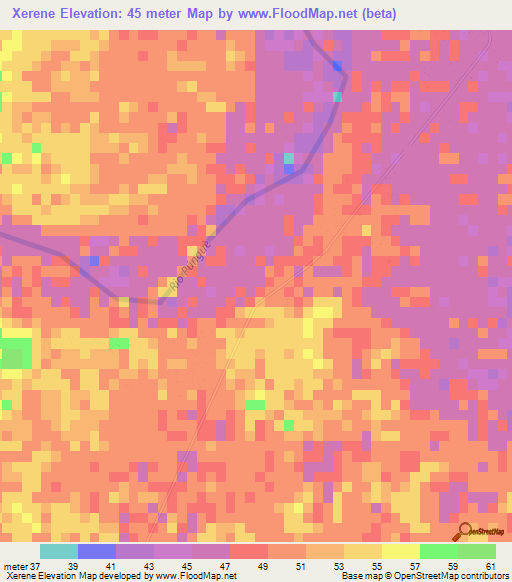 Xerene,Mozambique Elevation Map