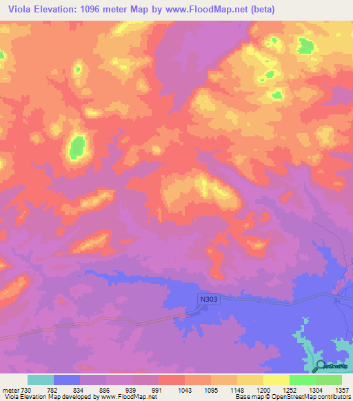 Viola,Mozambique Elevation Map