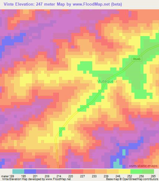 Vinte,Mozambique Elevation Map