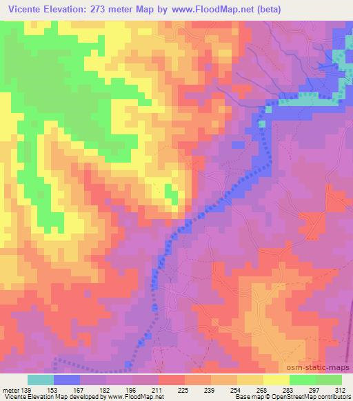 Vicente,Mozambique Elevation Map