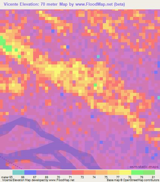 Vicente,Mozambique Elevation Map