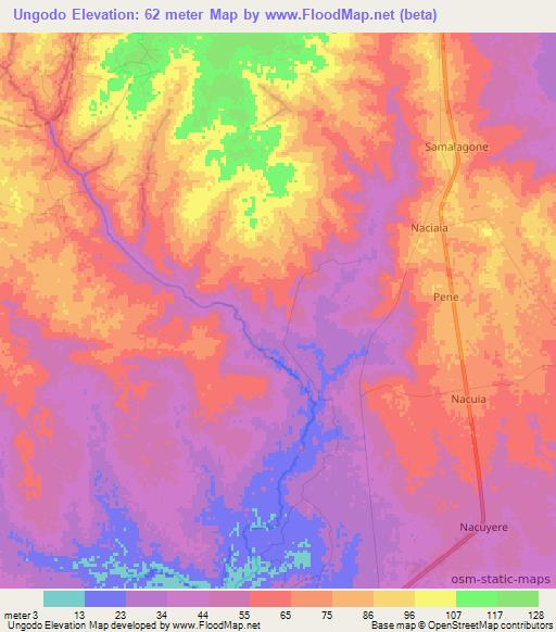 Ungodo,Mozambique Elevation Map