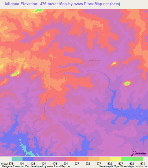 Ualigana,Mozambique Elevation Map