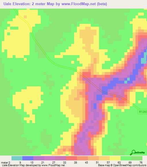 Uale,Mozambique Elevation Map