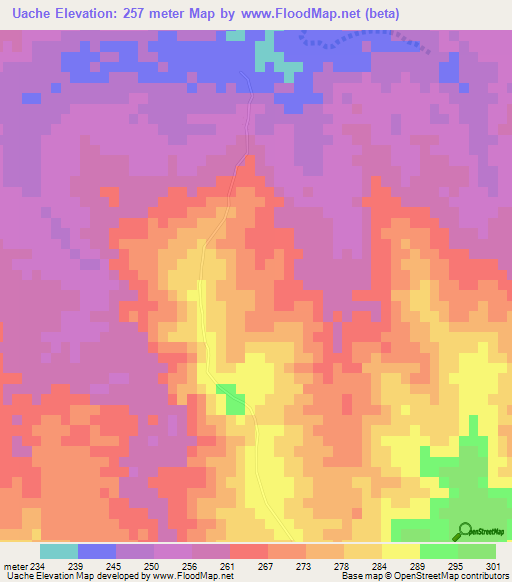Uache,Mozambique Elevation Map
