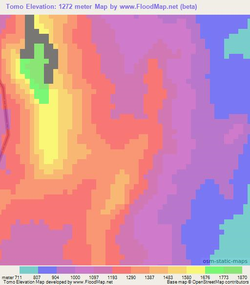 Tomo,Mozambique Elevation Map