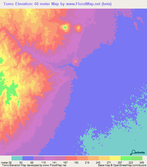 Tomo,Mozambique Elevation Map
