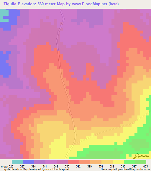 Tiquila,Mozambique Elevation Map