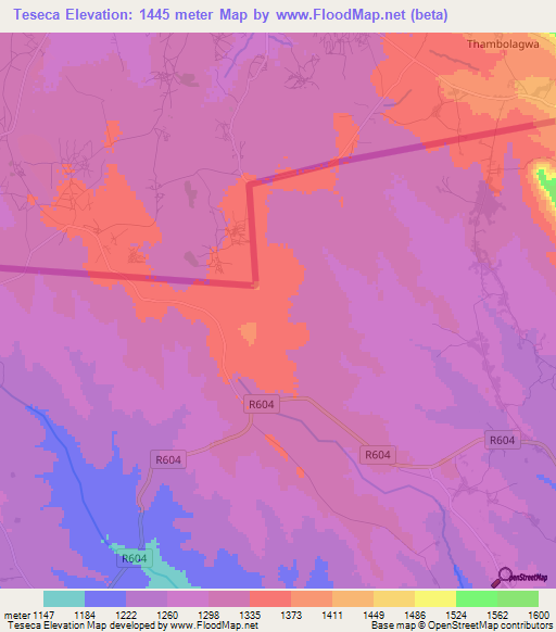 Teseca,Mozambique Elevation Map