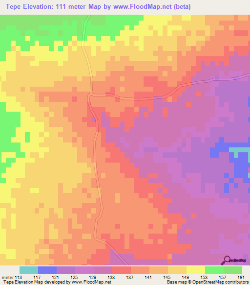 Tepe,Mozambique Elevation Map
