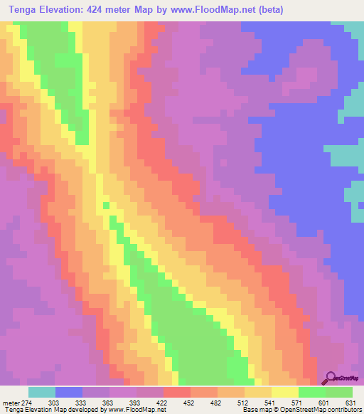 Tenga,Mozambique Elevation Map