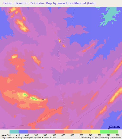 Tejoro,Mozambique Elevation Map