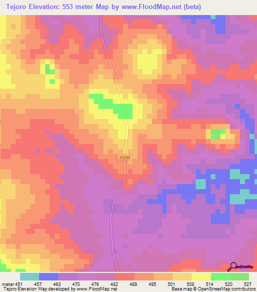 Tejoro,Mozambique Elevation Map