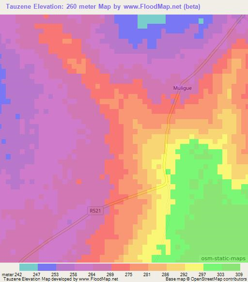 Tauzene,Mozambique Elevation Map
