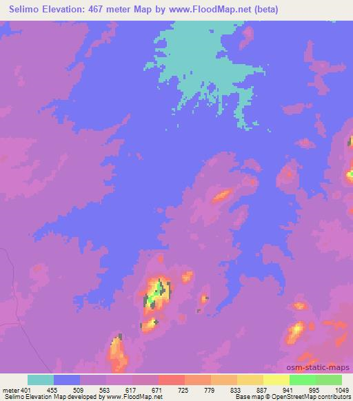 Selimo,Mozambique Elevation Map
