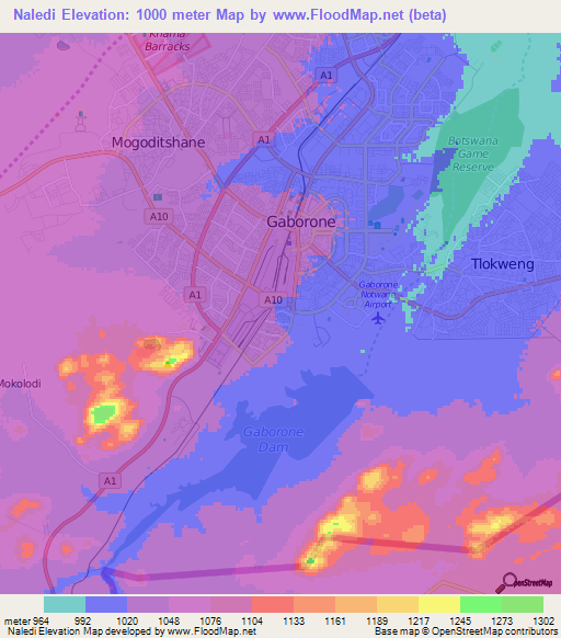 Naledi,Botswana Elevation Map