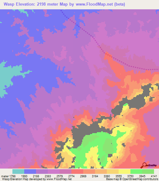 Wasp,Afghanistan Elevation Map