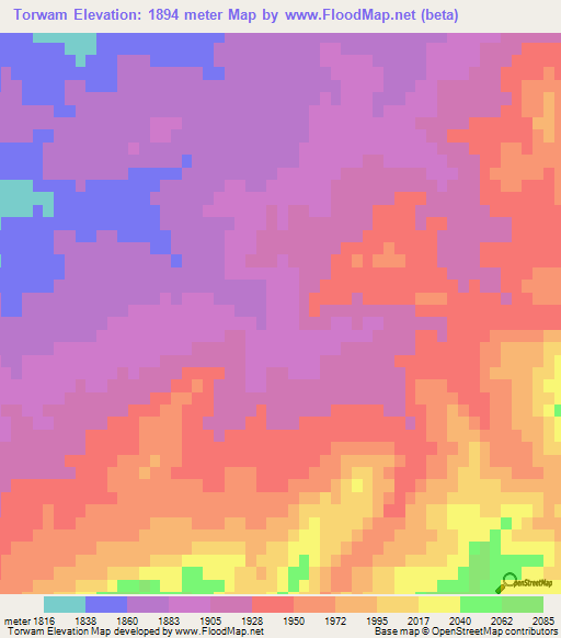 Torwam,Afghanistan Elevation Map
