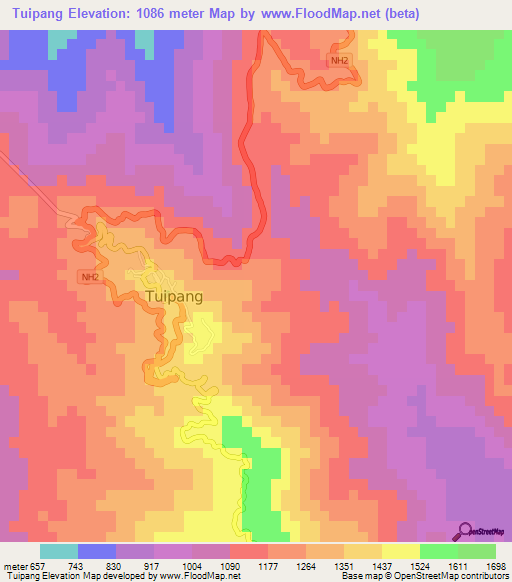 Tuipang,India Elevation Map