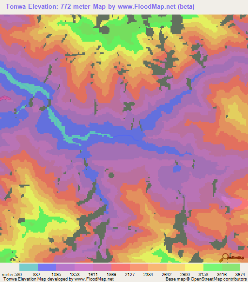 Tonwa,India Elevation Map