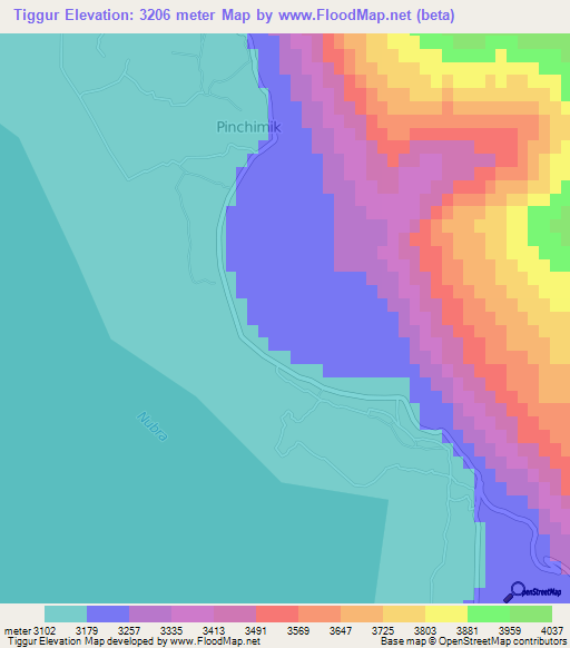 Tiggur,India Elevation Map