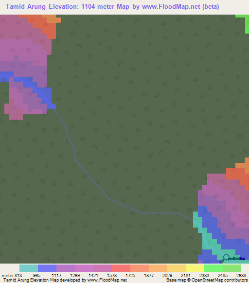 Tamid Arung,India Elevation Map