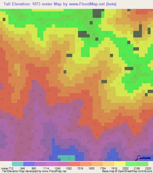 Tali,India Elevation Map