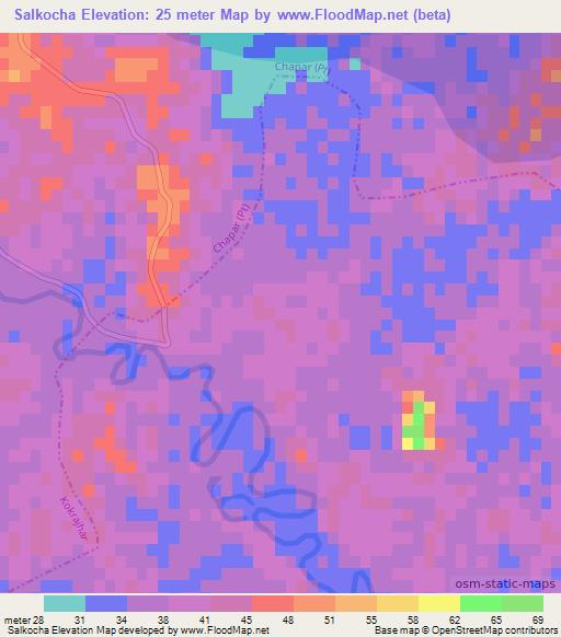 Salkocha,India Elevation Map