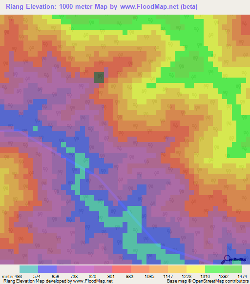 Riang,India Elevation Map