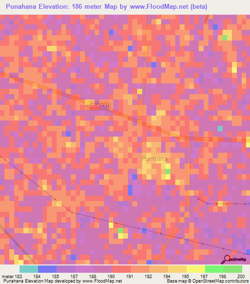 Punahana,India Elevation Map