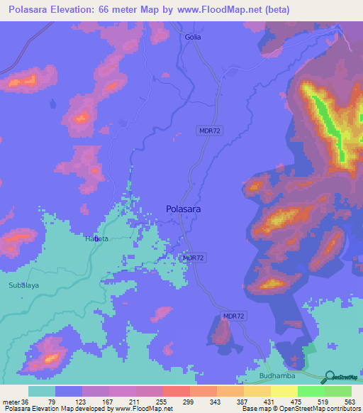 Polasara,India Elevation Map