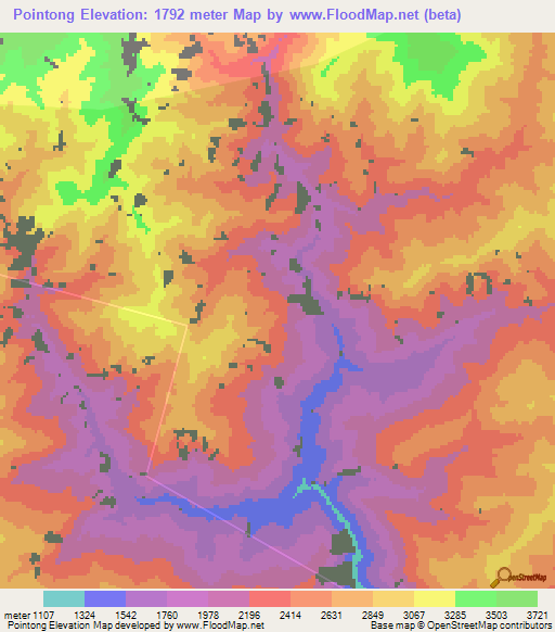 Pointong,India Elevation Map