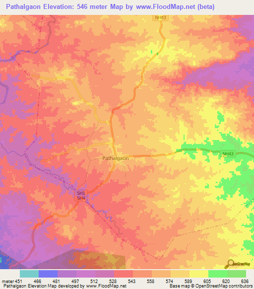 Pathalgaon,India Elevation Map