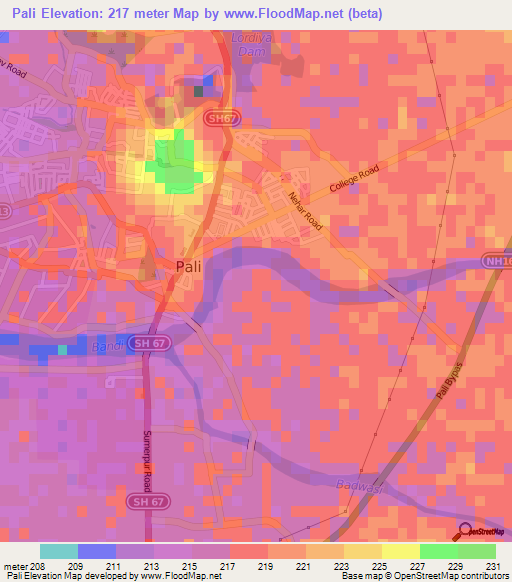 Pali,India Elevation Map