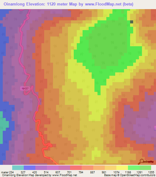 Oinamlong,India Elevation Map