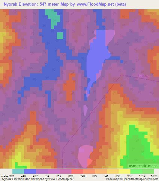 Nyorak,India Elevation Map
