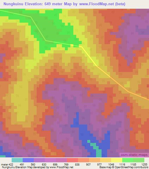 Nungkuinu,India Elevation Map