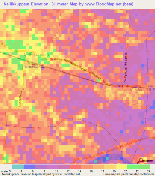 Nellikkuppam,India Elevation Map
