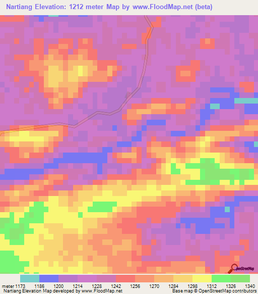 Nartiang,India Elevation Map