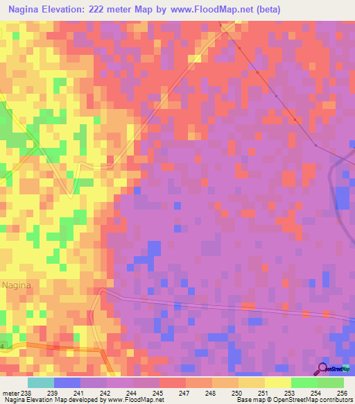 Nagina,India Elevation Map