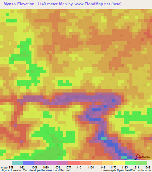 Mynso,India Elevation Map