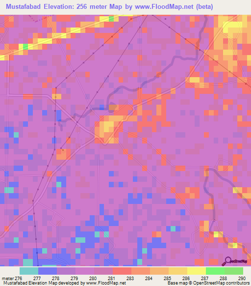 Mustafabad,India Elevation Map