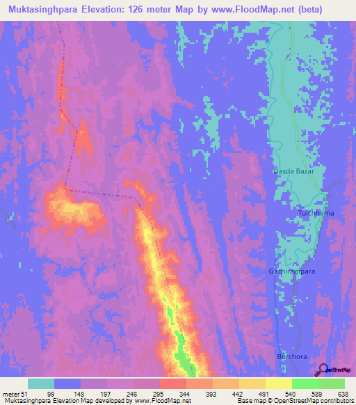 Muktasinghpara,India Elevation Map