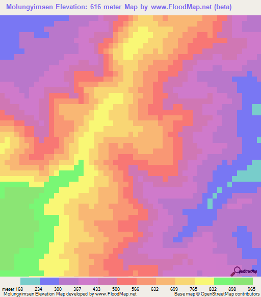 Molungyimsen,India Elevation Map